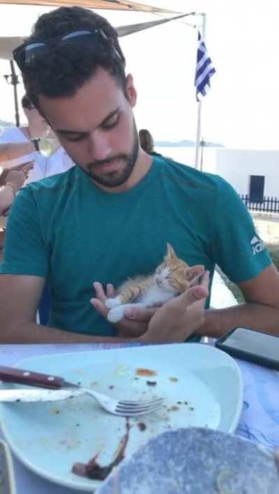 ''I am not sleepy!''