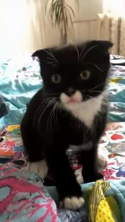 Jump Scares are getting out of hand.