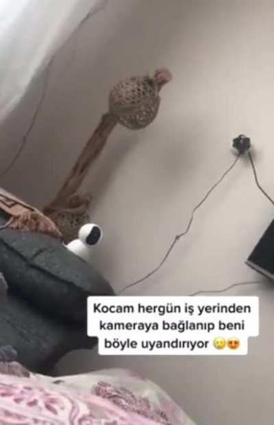 Big brother gibi kocan var amk