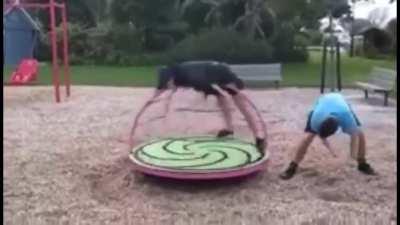 HMFT after I get flung off a roundabout