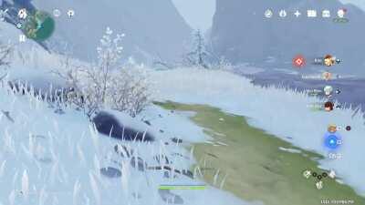 Camera got bogged and game turned to first person