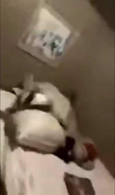 almost threw up laughing at this shit