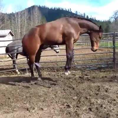 Now I'm walking on sunshine, whoa