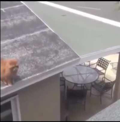 Didn’t stick the landing