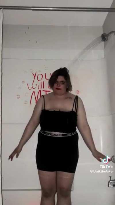 What the flying dipfick