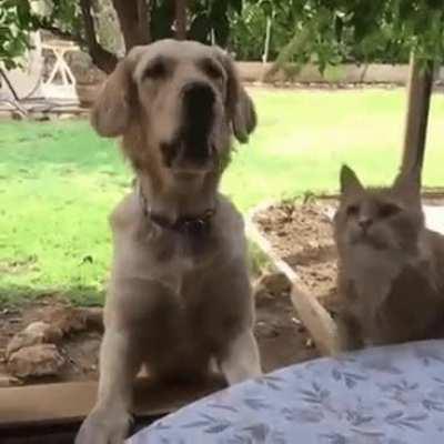 It's my hand, you idiot!