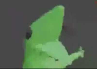 Lizard speaks Chinese (random meme I found)