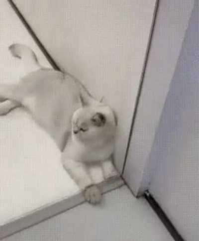 Вообще пофиг