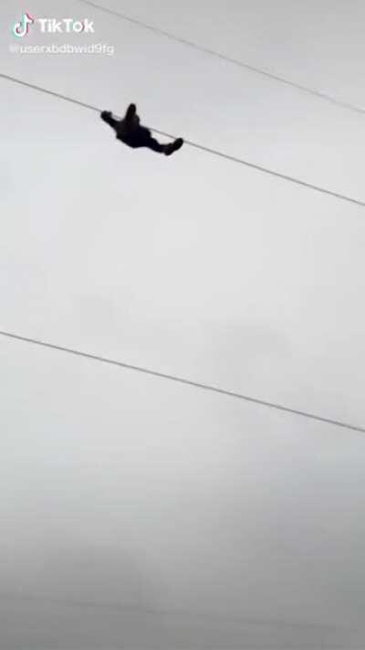 Powerline reverse bungee jump