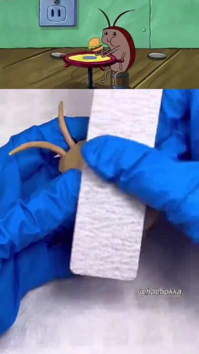 I really didn't expect the result to be amazing 🤯🤯