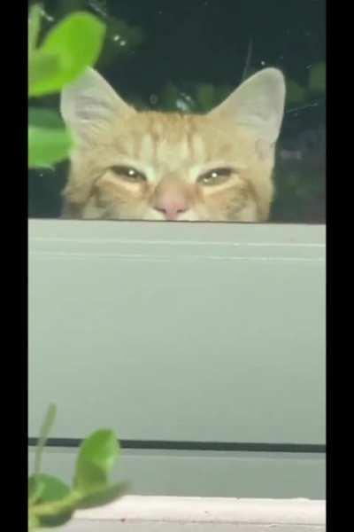 When you suddenly realized that you were discovered.