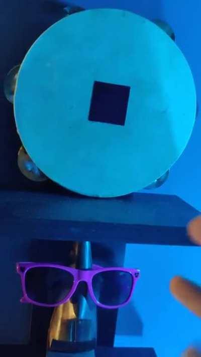 me flexing shades, studio, and tambourine on you bhendis ( ͡° ͜ʖ ͡°)