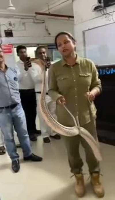 A firewoman captures and handles an Indian Spectacled Cobra after it snuck into the Corporate Records office of the Life Insurance Corporation in Mumbai.