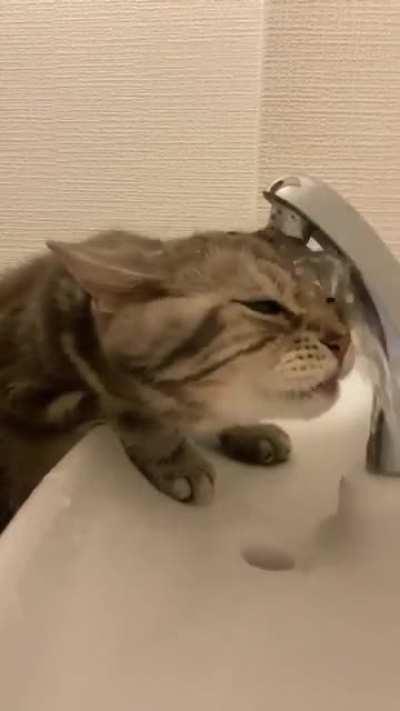 Sometimes I don't understand