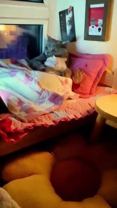 Это могли быть мы с тобой