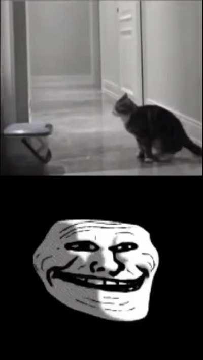 There are many things i never said, because I thought I could say them later 😞