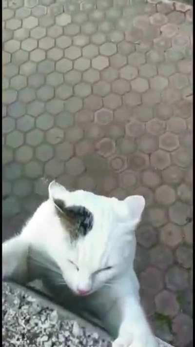 Hang on a little longer