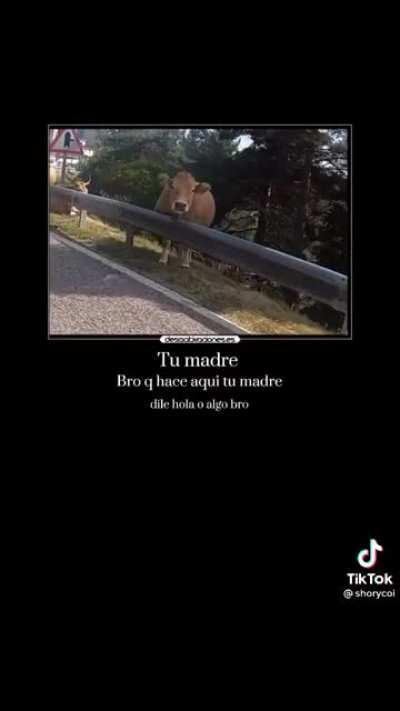 Mirad a quién encontré 😈😈