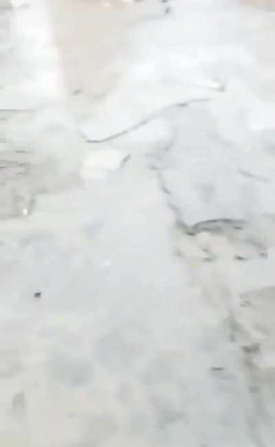 IdiotsNearlyDying. Well, that is not what I had expected at all. Nice twist, drunkard.