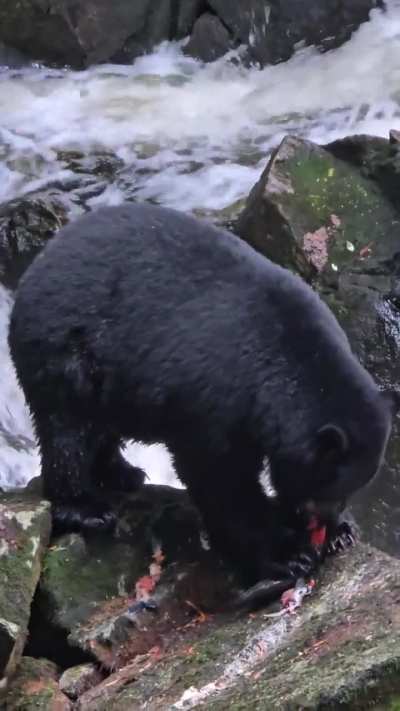 Big boy shows fishing skills