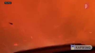 Warthog Run makes perfect soundtrack to the wildfire footage