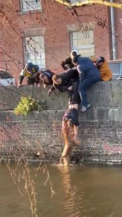 Good boys rescuing a good boy, Manchester UK