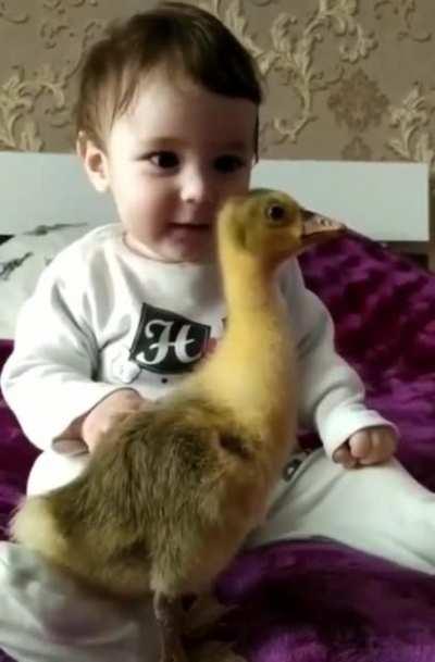 Cutest little baby loving on the duckling.