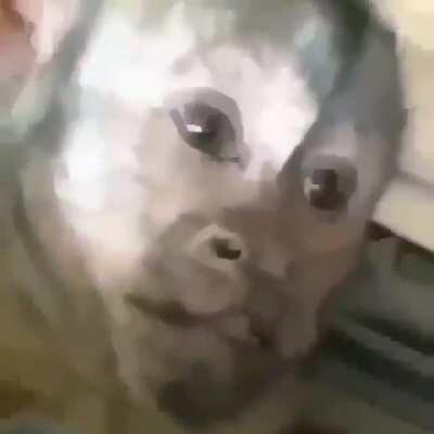 Cuando me ponen la mano fría en la espalda