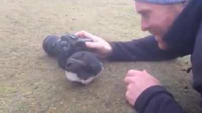 social behavior is learned by observing and imitating the behavior of others