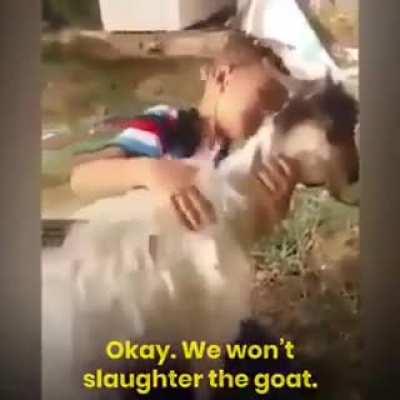 love is in the nature