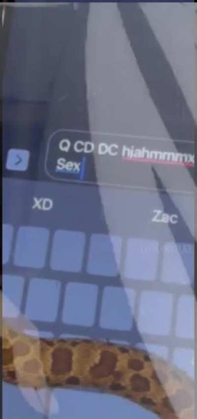 That time my gf reincarnated as a snake