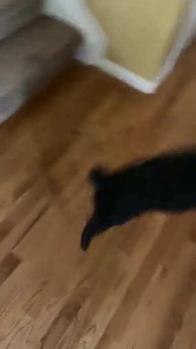 I REQUIRE THE OÜTDØORS