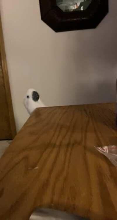 Angel peaking up to greet me