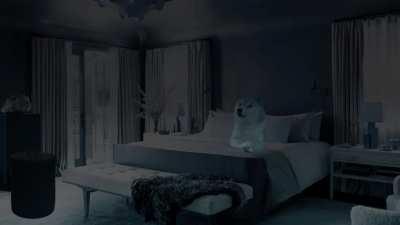 Le Dreamcatcher Has Not Arrived