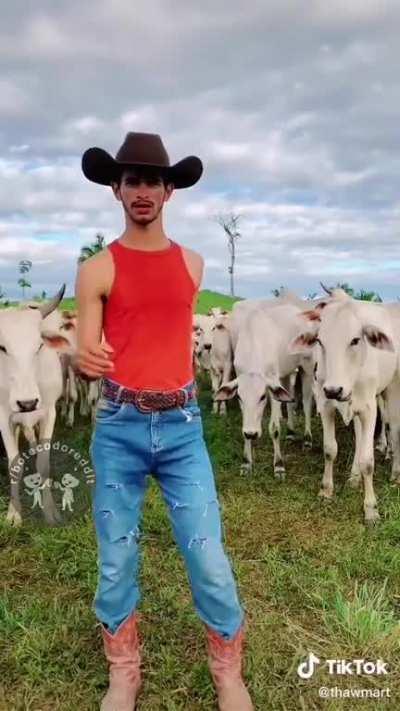 🐂