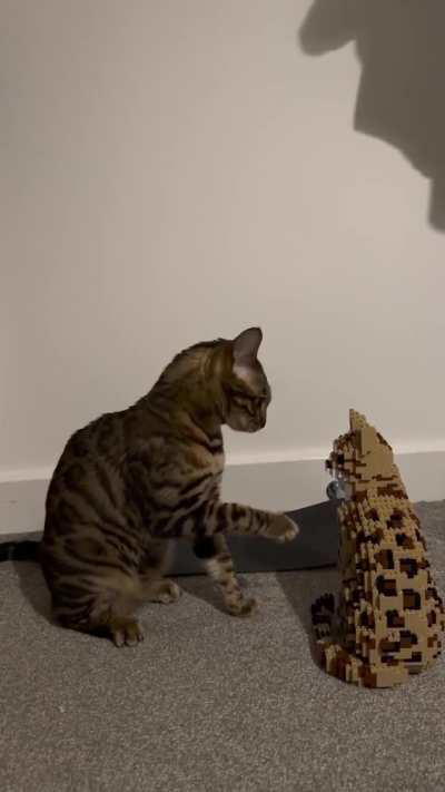 Wunkus vs the simulacrum