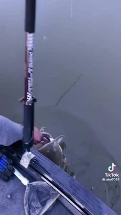 Caught this last night