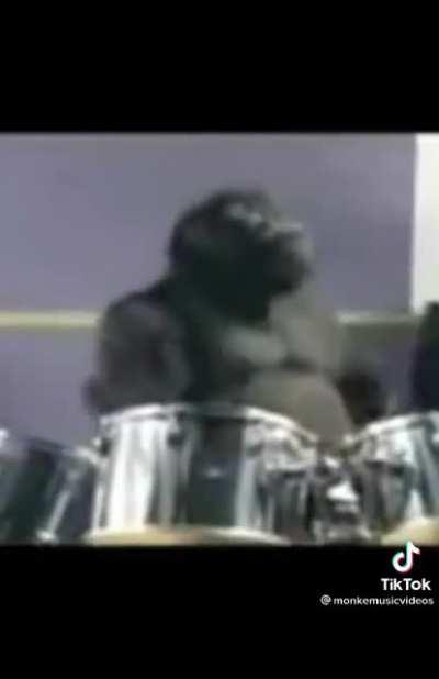 New Gorillaz dropped, y'all rockin with it⁉️