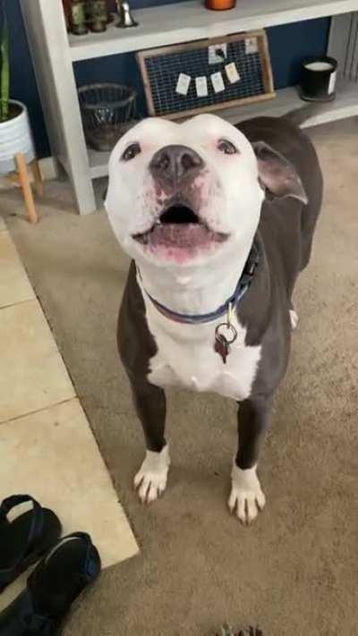 She wants it to be dinner time.