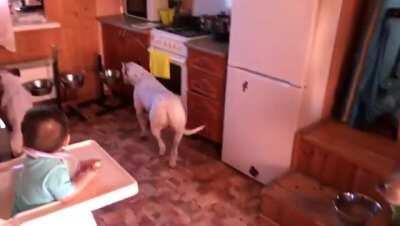 Мой кумир)))