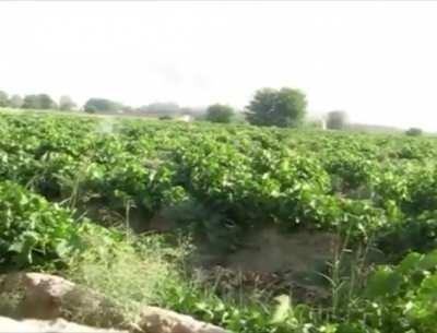 BRRRRT rains down justice.