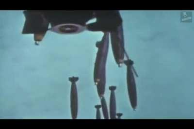 LAUF UM DEIN LEBEN WENND ER GOMMEMODE ANGEHT!!!!!