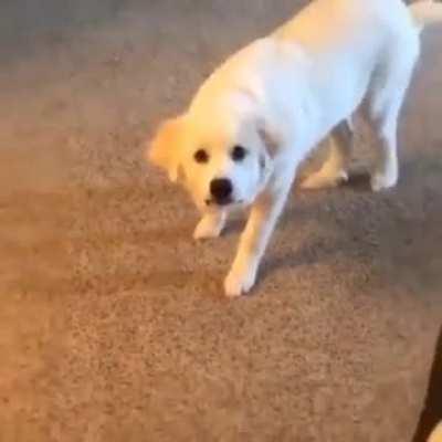 This Rightfully Belongs Here