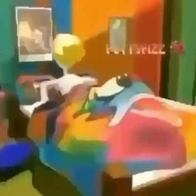 Listening to medusa 1000th time