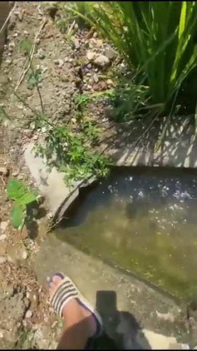 Подводные цыгане