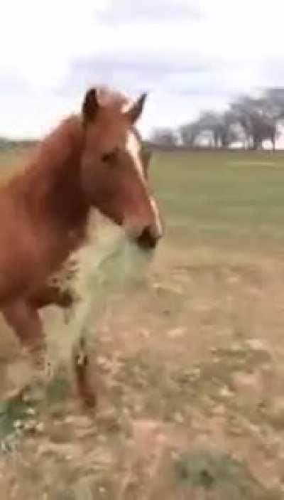 Selfless Act of Kindness