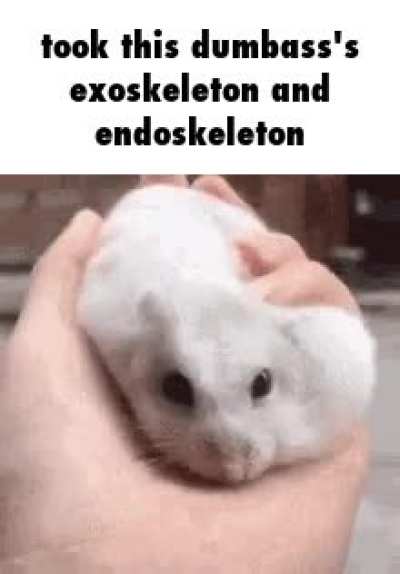 Now he is just a ball or lard >:3 