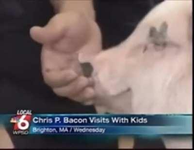 I’m 15 and this is yeet