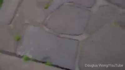 Quite possibly the biggest of fuck you’s