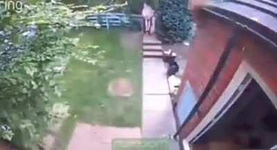 holy sh*t i need this!